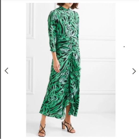 RIXO Dresses & Skirts - Lucy green tiger dress